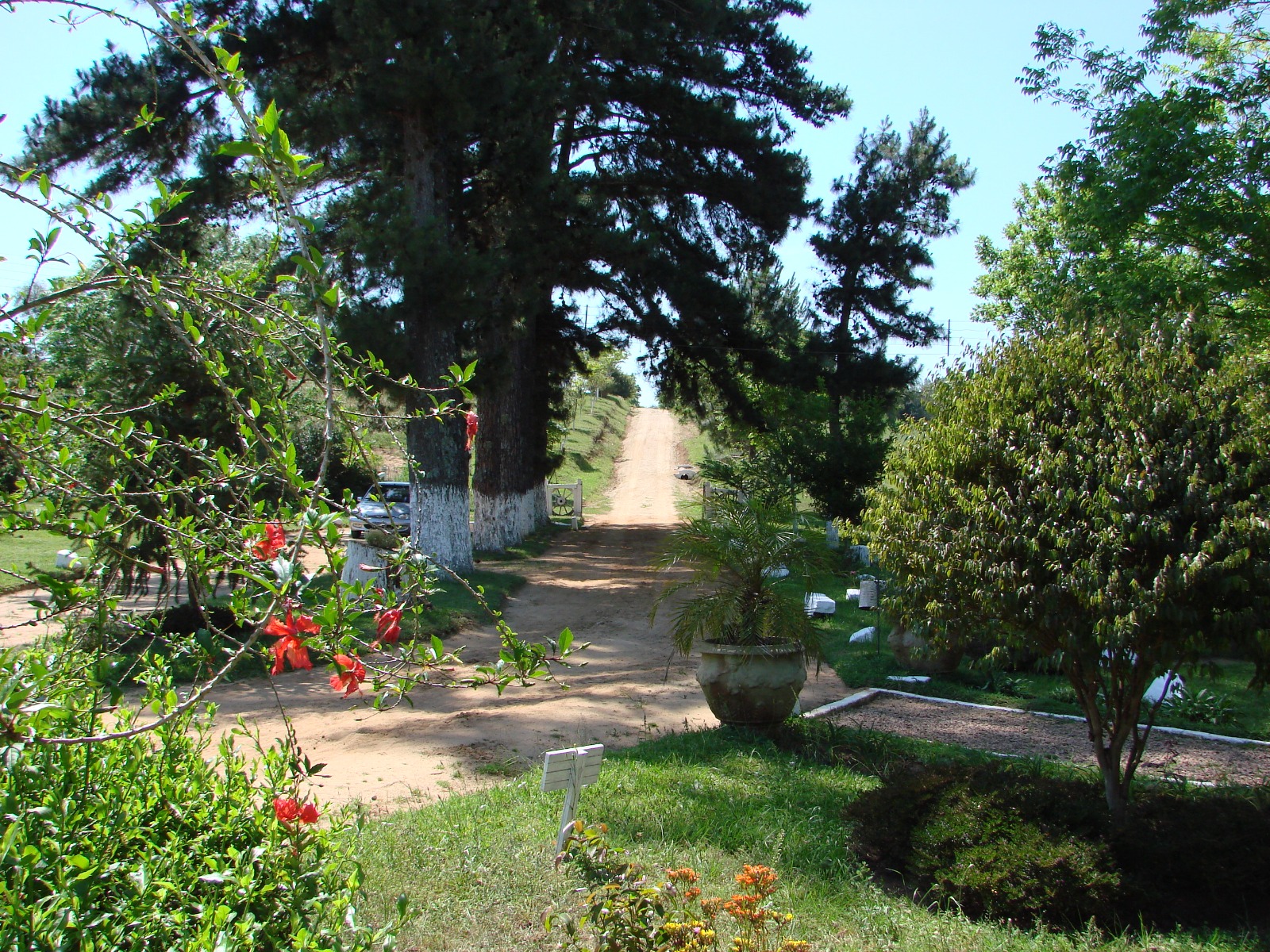 Centro de Apoio ao Dependente Químico