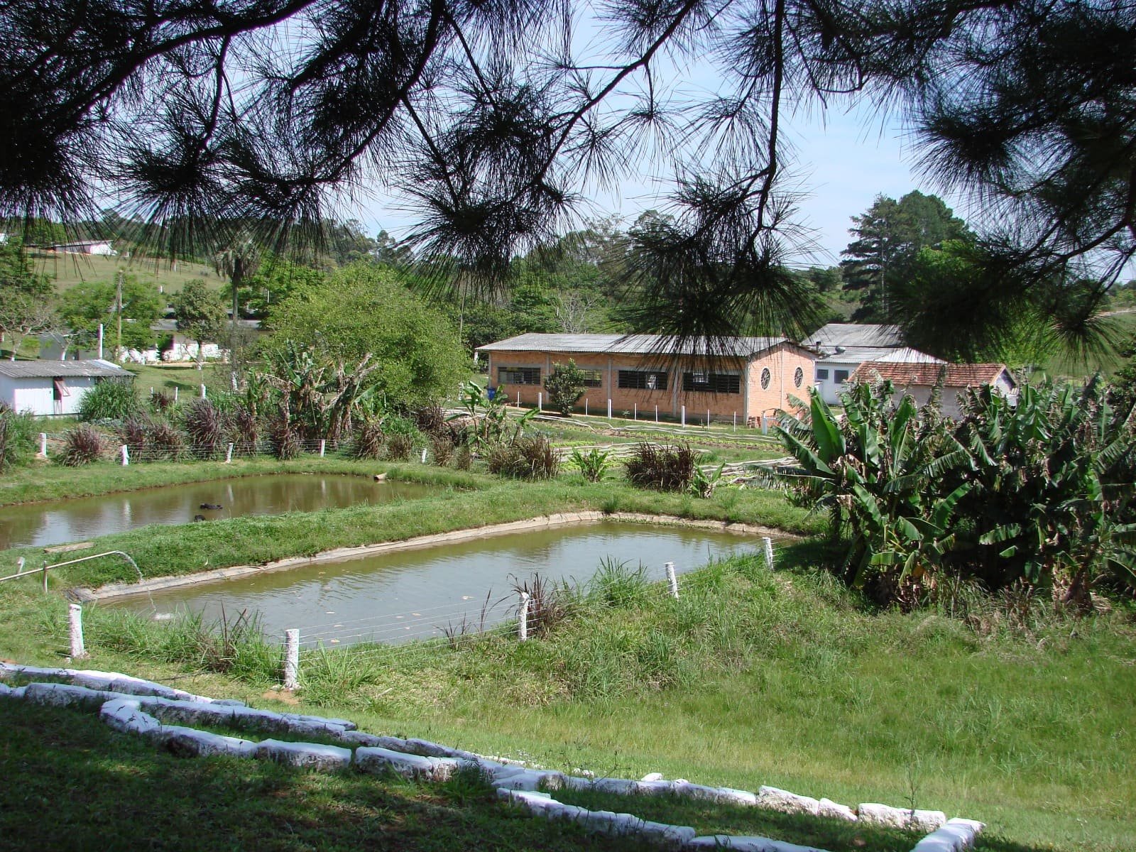 Fazenda do Senhor Jesus